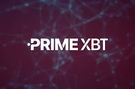 Explorando as Oportunidades no PrimeXBT Forex