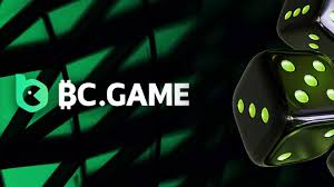 Everything You Need to Know About BC.Game Registration 12