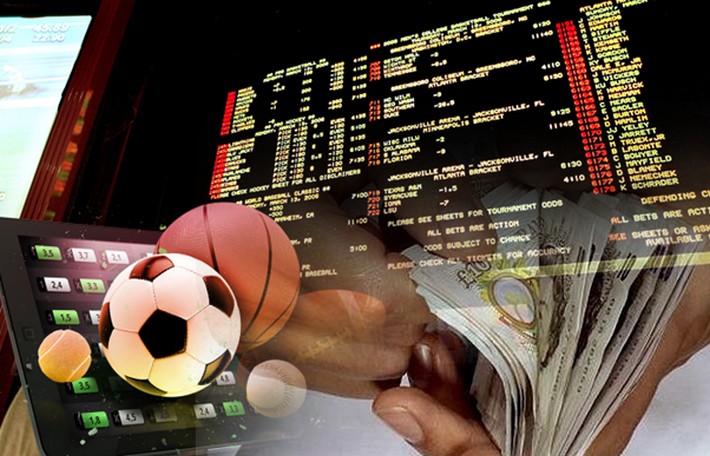 Everything You Need to Know About afiro bet 13
