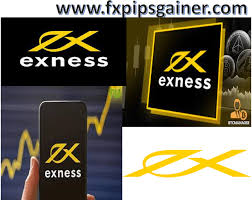 How to Establish an MT4 Connection With Exness