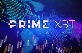 Comprehensive Guide to PrimeXBT Crypto Trading Education